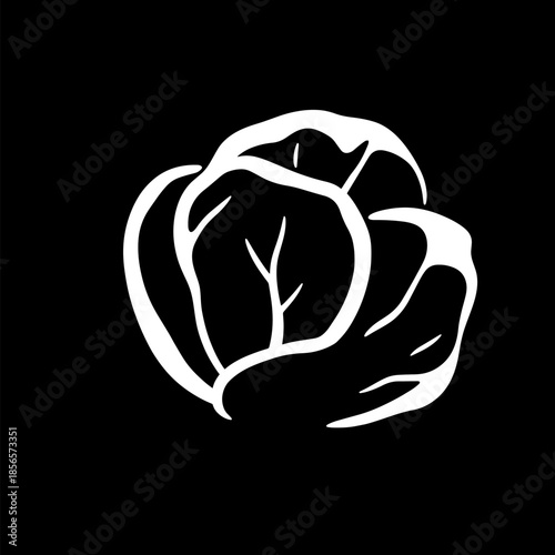 A simple white cabbage illustration against a black background, a graphic design element.