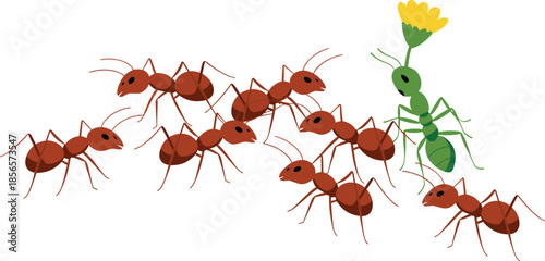 Ants, illustration, showing, red, ants, following, trail, toward, green, ant, flower, teamwork, behavior, nature, insects, biology, ecosystem, cooperation, vector, concept