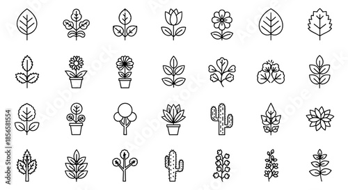 Collection of Outline Icons Representing Various Plants Flowers Trees Cacti and Leaves for Nature and Botany Themes