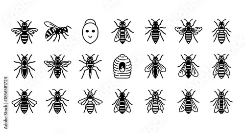 Collection of Bee Wasp Ant Icons and Hive Symbol Flat Black and White Vector Graphics Set