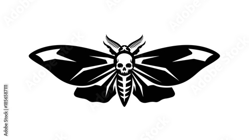 Black Moth with Skull Body Illustration.
