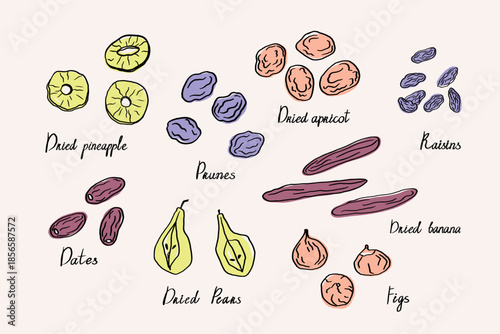 Dried fruits banner. Vector illustration. Fame with sketched dehydrated fruits, oriental dessert with fig, apricot, banana, dates, pineapple, prune, raisin. Food graphic for template, menu, card, sign