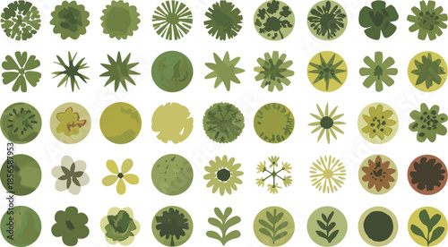 Top, down, landscape, trees, illustration, architectural, plan, view, greenery, garden, elements, foliage, nature, design, symbols, park, vegetation, set, environment, ecology