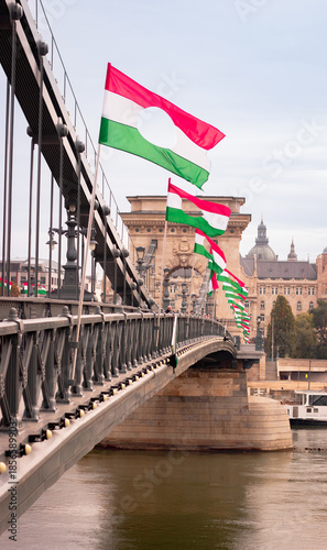 Photography bridge in budapest hungary