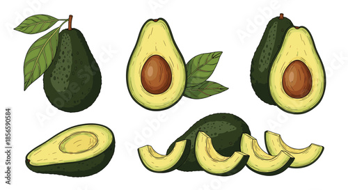 Ripe green avocados shown in various states including whole fruit with leaves, halved with seeds, and fresh slices for culinary use.