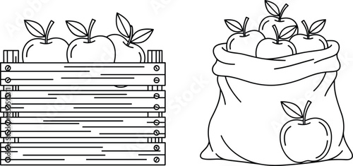 Apple storage icon set, wooden crate and cloth sack comparison, fruit container vector bundle, graphic harvest design pack