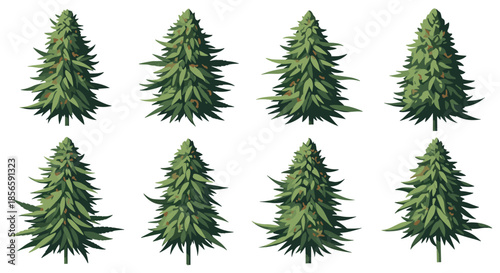 Set of eight illustrated evergreen pine trees with dense green foliage and brown cones arranged in two horizontal rows.