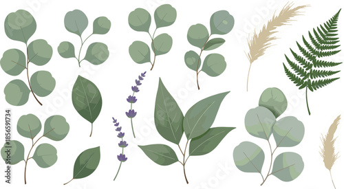 Botanical Green Leaves and Herbs Collection Vector Set, Minimal Foliage Elements Isolated on White Background