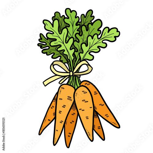 Bunch of ripe carrots tied with a ribbon on white background
