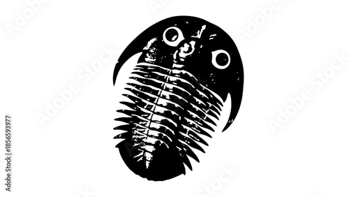 vector illustration of a fish skeleton