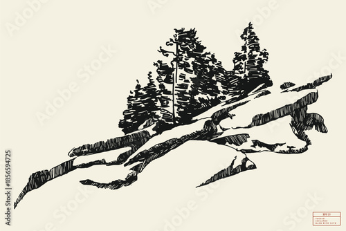 Rocky mountain slope with trees. Simple linear sketch drawn from nature