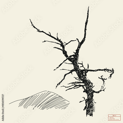 Dry dead tree on mountain top. Simple linear sketch drawn from nature