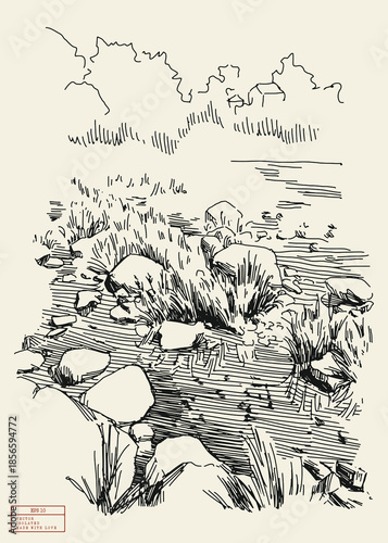 Rocky marshy pond. Countryside. Simple linear sketch drawn from nature