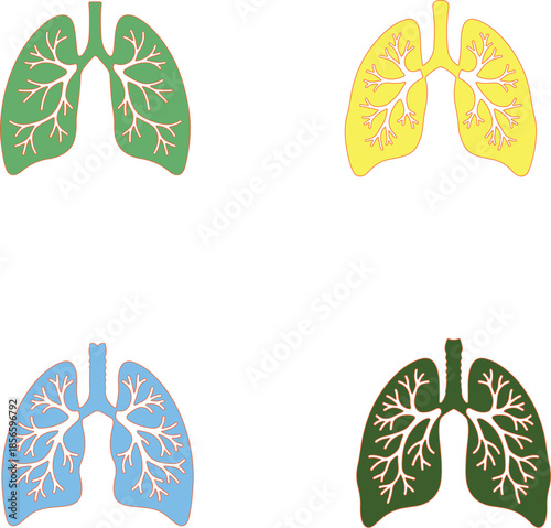 Four Colored Lung Diagrams with Bronchial Tree Structures