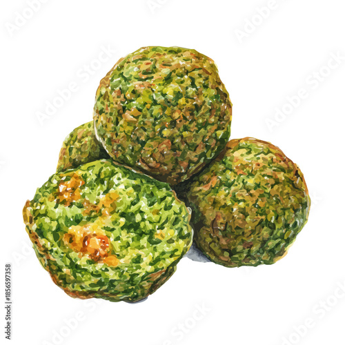A watercolor painting of Falafel, vector illustration on white background.
