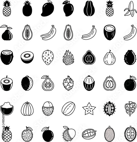 Collection of Diverse Exotic Tropical Fruits Icons and Symbols, Vector Illustration Set With Many Varieties