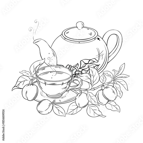 Apricot Tea in Teapot aroma beverage Outline Illustration. Vector isolated for Design and Decoration for Cafeteria, Posters, Banners, Cards.