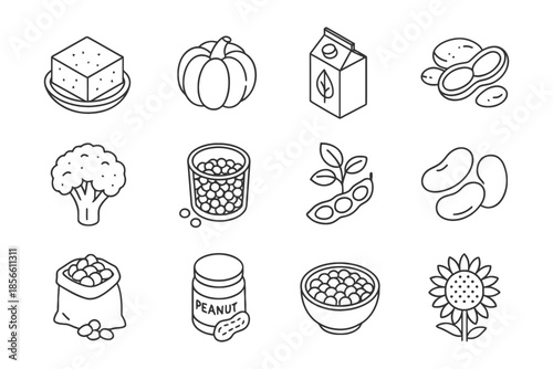 Line art icons of vegan food sources including tofu, pumpkin, and nuts.