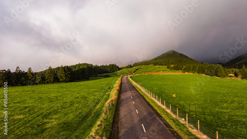 Street and green pastures, Azores islands, drone view.