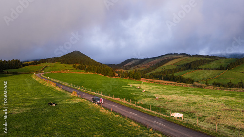 Street and green pastures, Azores islands, drone view.