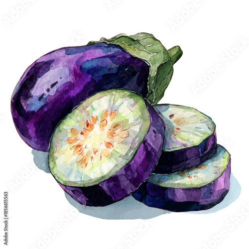 Watercolor painting of Eggplant Slices, vector illustration, isolated on white background.