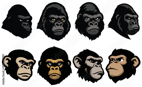 Gorilla and Chimpanzee Head Illustrations