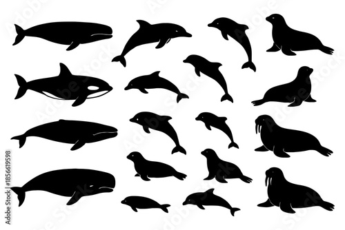 Marine animal silhouettes including whales, dolphins, seals, and walruses.