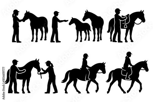 Silhouette sequence of horse care and riding activities.