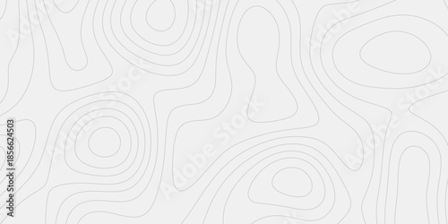 Geographic Whispers Seamless Pattern
Retro Inspired Black and White Topographic Line Map Texture