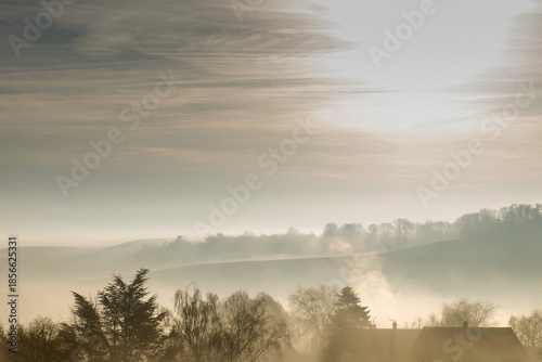 Sunbeams in the trees in the morning