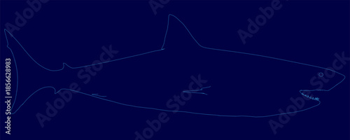 Great white shark in line art style with open mouth and sharp teeth. Its sleek body and pointed fins are outlined against a blue background. Alert eyes enhance powerful predator's menacing. Side view