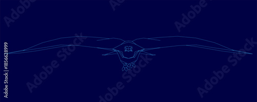 A blue background with contour drawing a hawk in flight. This minimalist line art depicts wildlife.