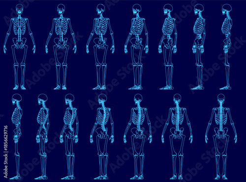 A set of human skeleton contours arranged in a grid pattern on a solid blue background. Each unique skeletal outline provides stark contrast for educational or design use.