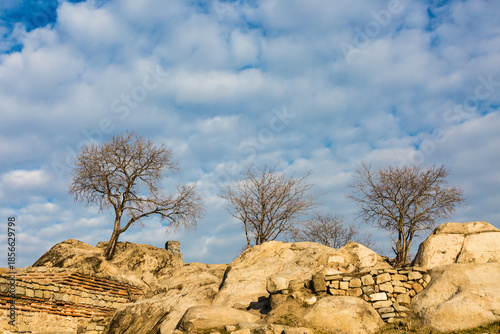 Trees on hill and cloudy sky