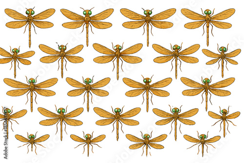 Dragonflies in a detailed pattern on a white background with focus on their wings and bodies