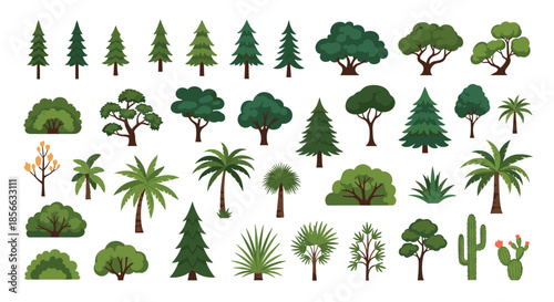 Comprehensive set of various trees bushes and cacti in different shapes and shades of green on a white background for landscape design.