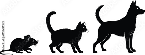Black silhouettes of a mouse, cat, and dog set, domestic pet vector collection standing in profile for veterinary animal design,