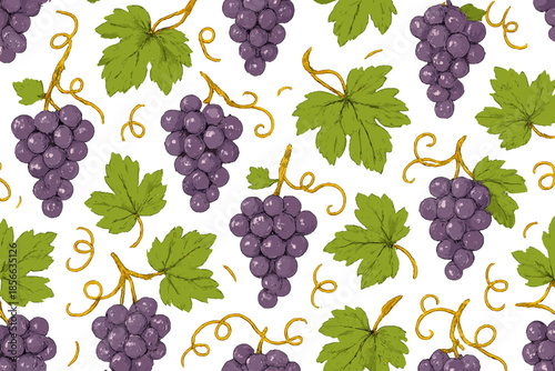 Pattern of grapes and leaves on a white background with light detailing showing the natural elements of the vineyard harvest time
