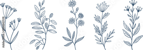 Detailed Blue Line Art Floral Branch Vector Illustration Set Featuring Minimalist Botanical Wildflower Graphic Designs