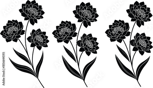 Black and white lotus flower silhouettes vector illustration set, elegant floral bouquets with blooming petals and leaves for wedding or spa design,