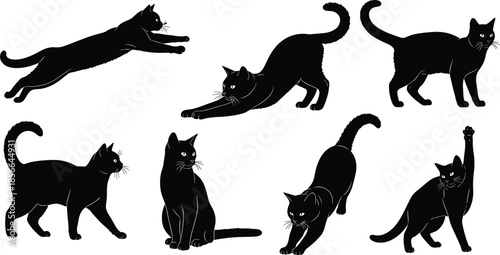 Black cat silhouette vector illustration set, domestic feline characters in various poses like stretching and jumping isolated on white background for pet design,