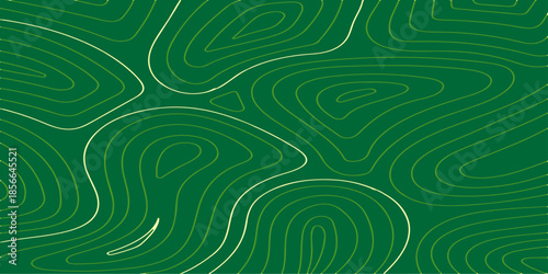 Abstract Topography Line Pattern Background, Contour Line Topography Vector, Creative, Colored, Tech type, Background template design.