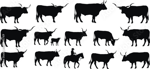 Black silhouettes of longhorn cattle set, farm animals, bull and cow figures with cowboy riding horse, ranch life vector isolated on white background (23 words)