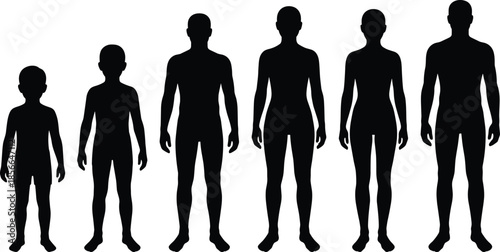 Silhouettes of male and female human growth stages, child to adult development illustration, black and white anatomy concept