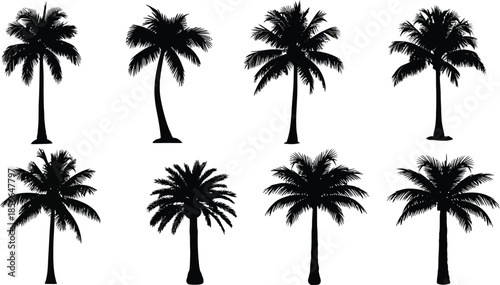 Collection of eight distinct black silhouette palm tree illustrations showcasing various tropical foliage shapes isolated on a clean white background for design use