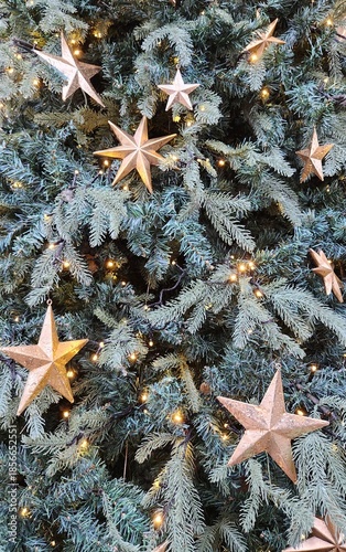 Christmas tree, Christmas, Christmas tree detail view, Christmas tree star ornament, Christmas tree string lights