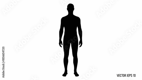 Silhouette of a standing human male figure isolated on white background.