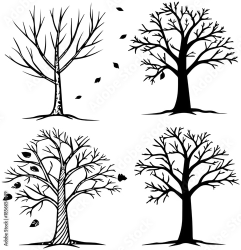 Four Seasons Trees Silhouette Growth Cycle