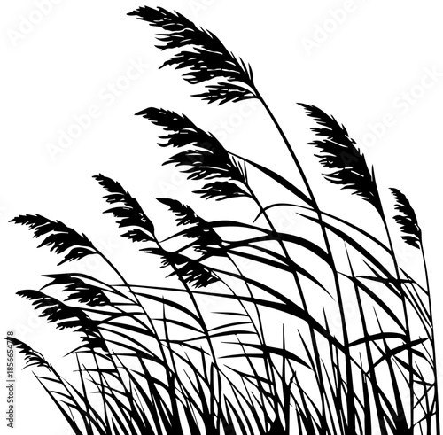 Tall Reeds Blowing in Wind Silhouette