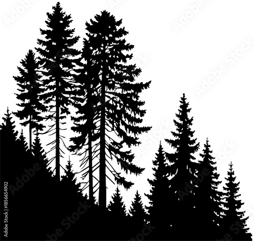 Black and White Pine Tree Forest Silhouette